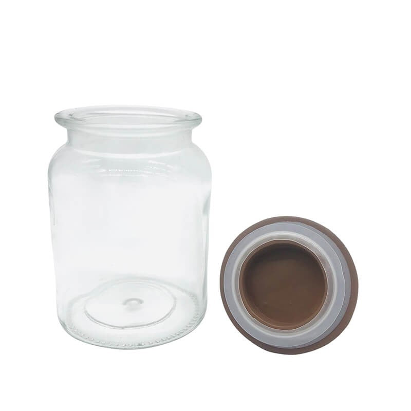 BOITE EN VERRE AVEC COUVERCLE DECORATIF EN RESINE -FANANIS GROS-