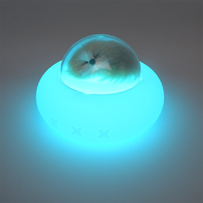 LAMPE DE BUREAU & VEILLEUSE LED ASPECT VAISSEAU AVEC INTERRUPTEUR À COULEURS CHANGEANTES MOTIF CHAT