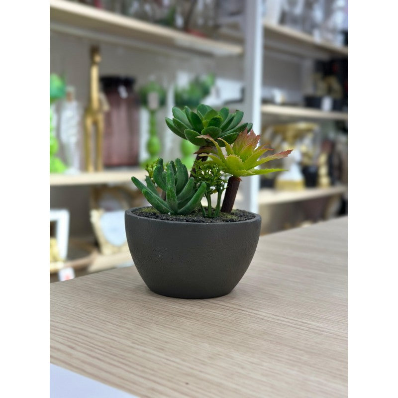 PLANTE DECORATIVE EN PLASTIQUE 16CM