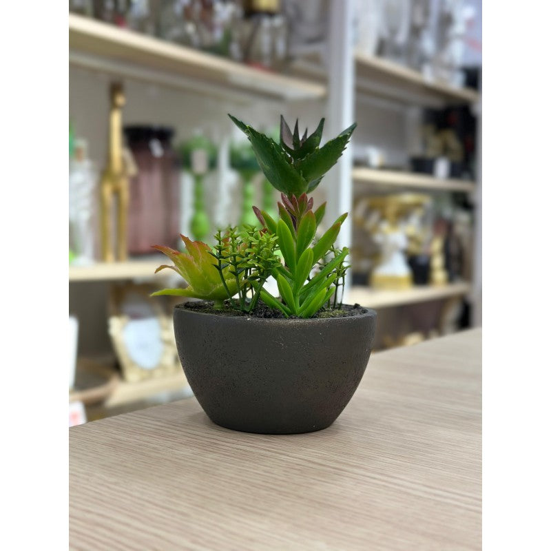 PLANTE DECORATIVE EN PLASTIQUE 16CM